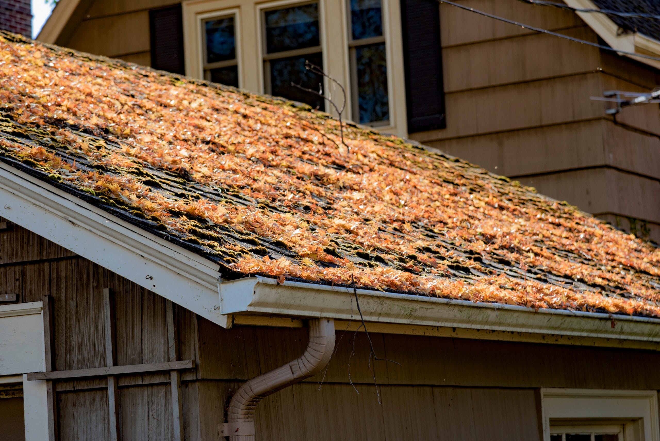 spring roof problems, spring roof damage, roof damage repair, Moline